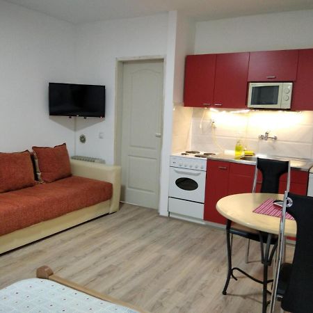 Apartman 4 - Studio Janja Soko Banja Exterior foto